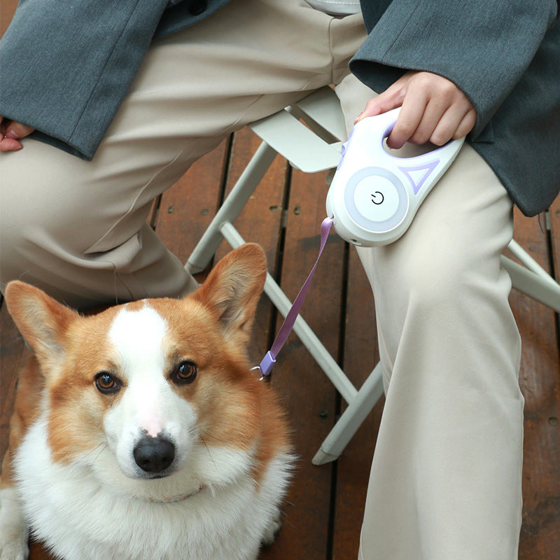 Retractable Dog Leash with LED Light – Automatic Pet Leash & Collar for Small & Medium Dogs