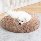 Calming Fluffy Donut Dog Bed
