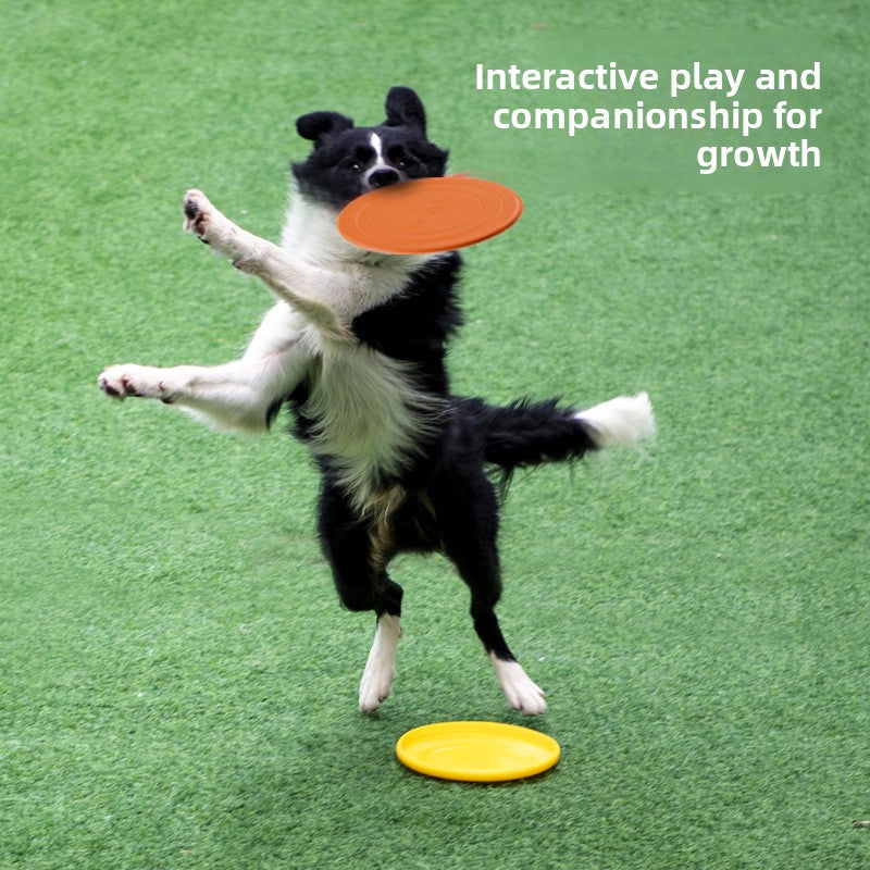 Soft Floating Dog Frisbee ? Durable Fetch Toy for Water, Outdoor Play & Active Exercise