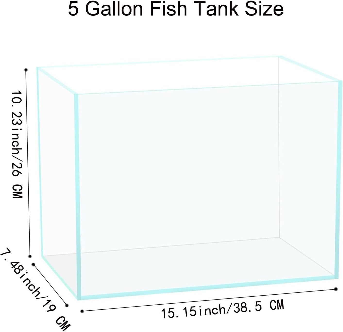 5 Gallon Glass Aquarium Tank for Betta Fish, Shrimp, Snails & Aquatic Plants
