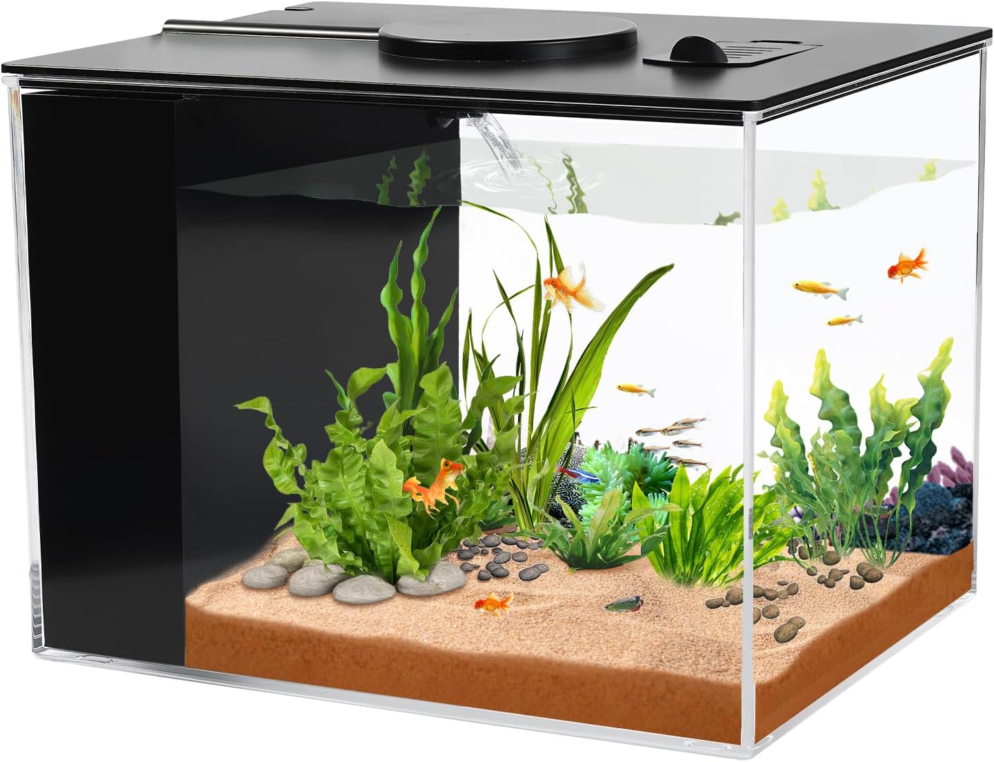 1 Gallon Betta Fish Tank with LED Light & Water Filter – Small Aquarium Kit