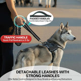 Hands-Free Double Dog Leash for 2 Dogs: Heavy-Duty Shock-Absorbing Bungee, Adjustable Waist Belt – Perfect for Running, Hiking & Daily Walks (Medium & Large Dogs)