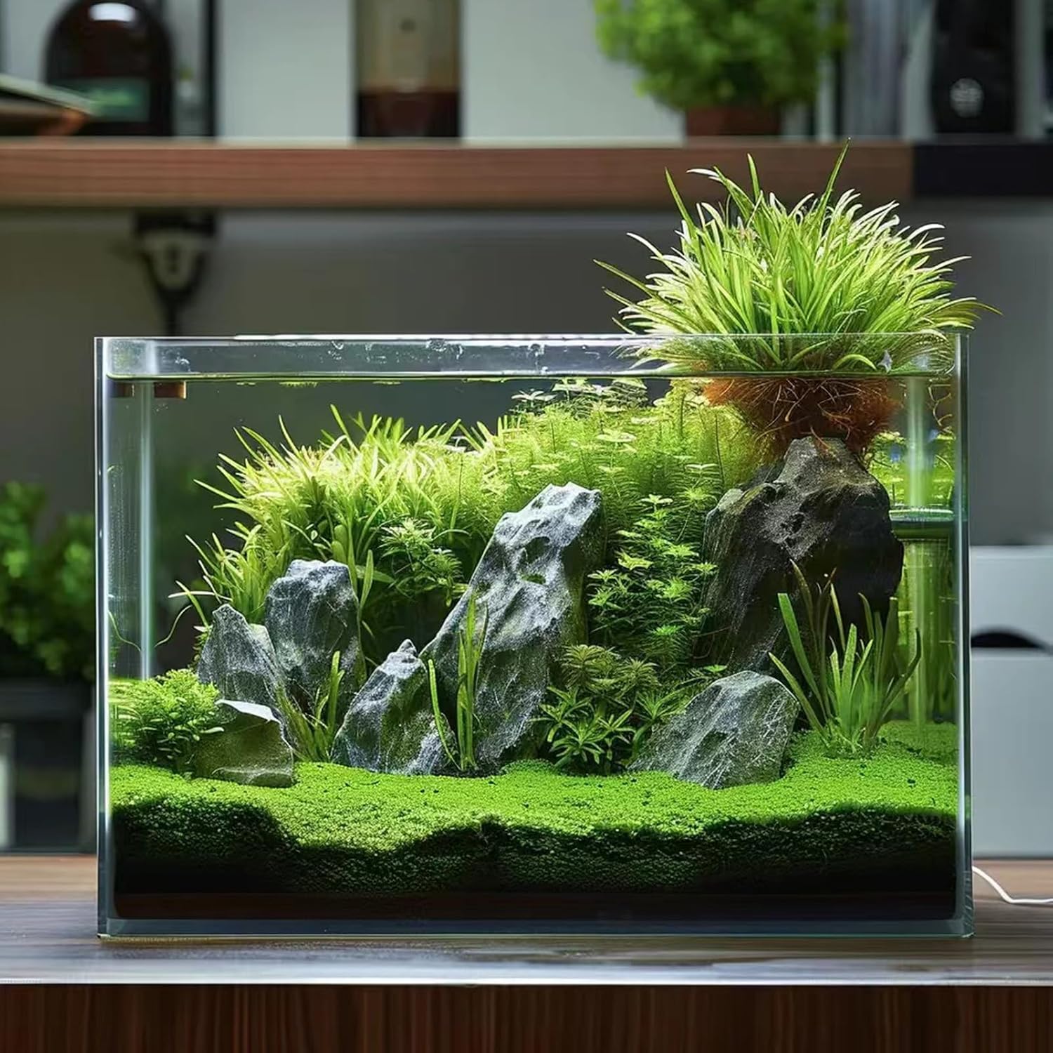 5 Gallon Glass Aquarium Tank for Betta Fish, Shrimp, Snails & Aquatic Plants