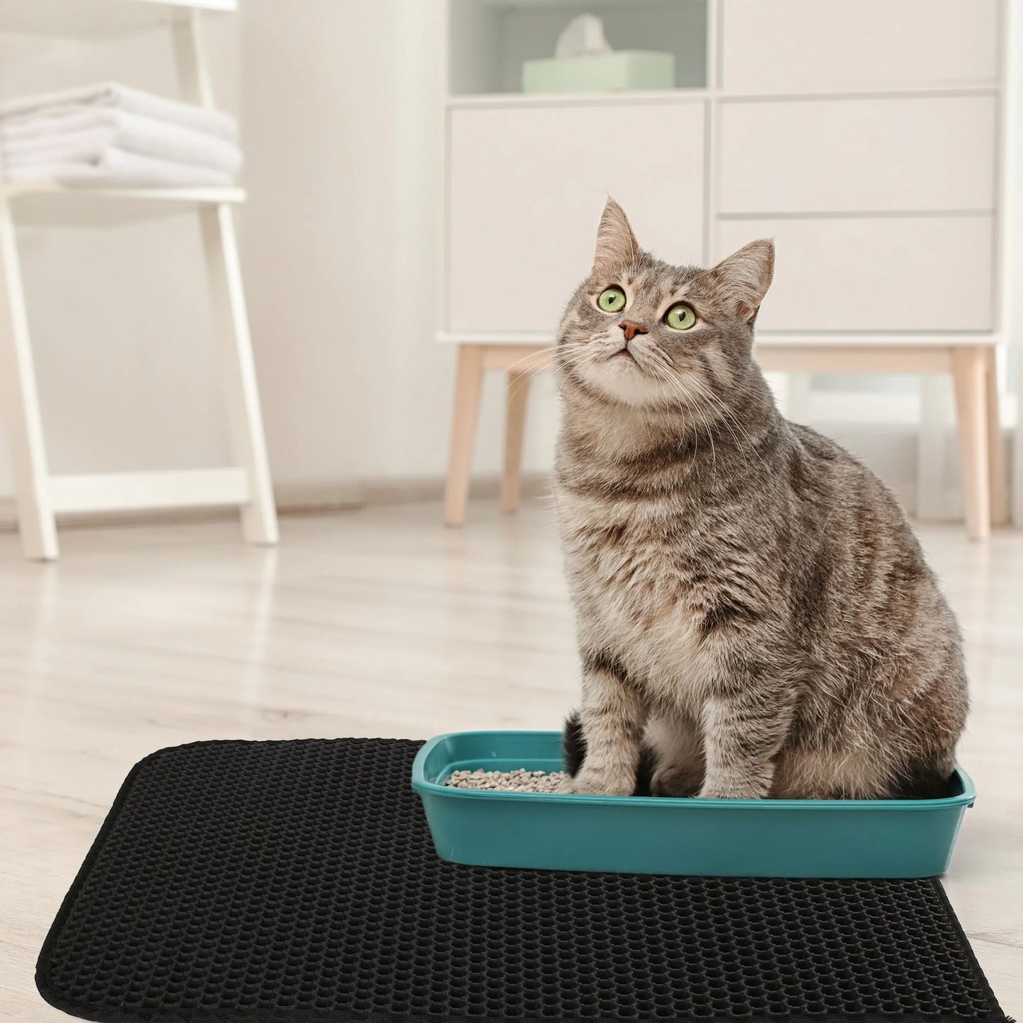 Double-Layer Cat Litter Mat – Waterproof Non-Slip Litter Trapper Mat (24" × 15", Black)