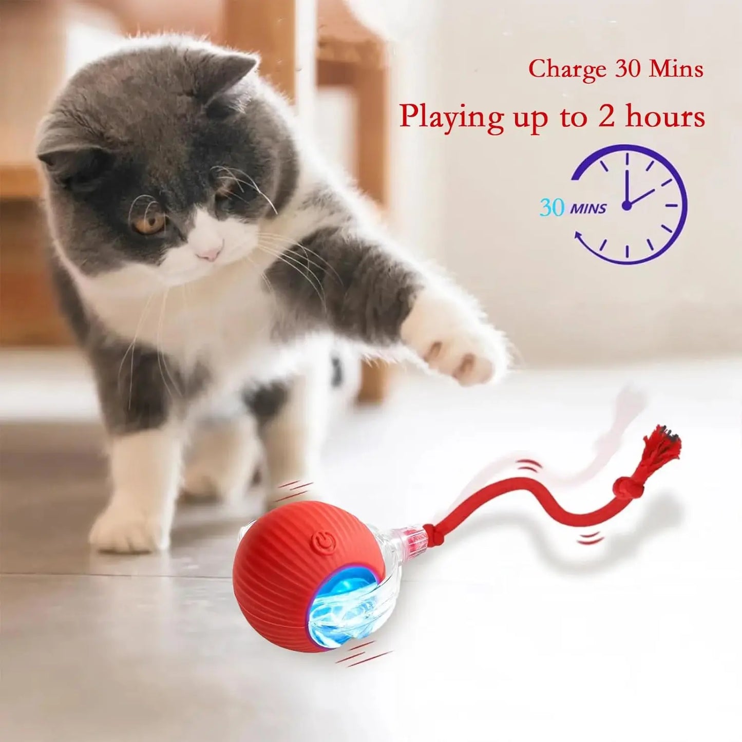 Interactive Cat Toy Ball Automatic Rolling Rechargeable, Anti-Anxiety Electric Teasing Toys for Cats