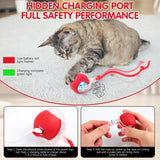 Interactive Cat Toy Ball Automatic Rolling Rechargeable, Anti-Anxiety Electric Teasing Toys for Cats